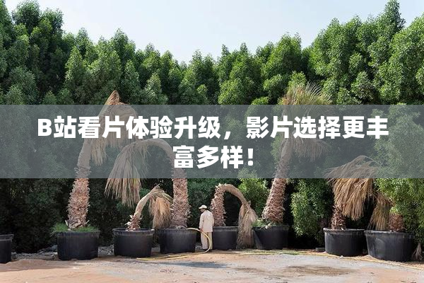 B站看片体验升级，影片选择更丰富多样！
