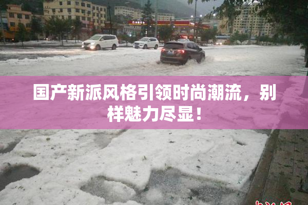 国产新派风格引领时尚潮流，别样魅力尽显！