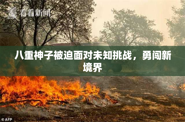 八重神子被迫面对未知挑战，勇闯新境界
