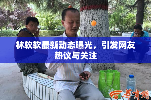 林软软最新动态曝光，引发网友热议与关注