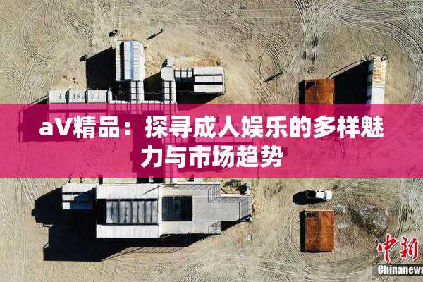 aV精品：探寻成人娱乐的多样魅力与市场趋势