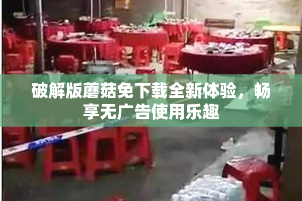 破解版蘑菇免下载全新体验，畅享无广告使用乐趣