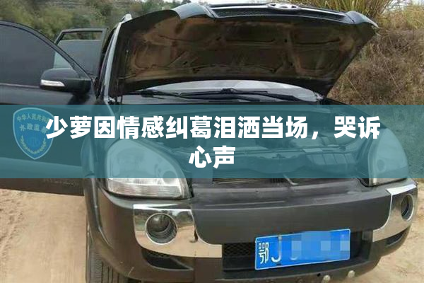 少萝因情感纠葛泪洒当场，哭诉心声