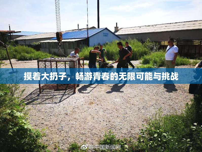 摸着大扔子，畅游青春的无限可能与挑战