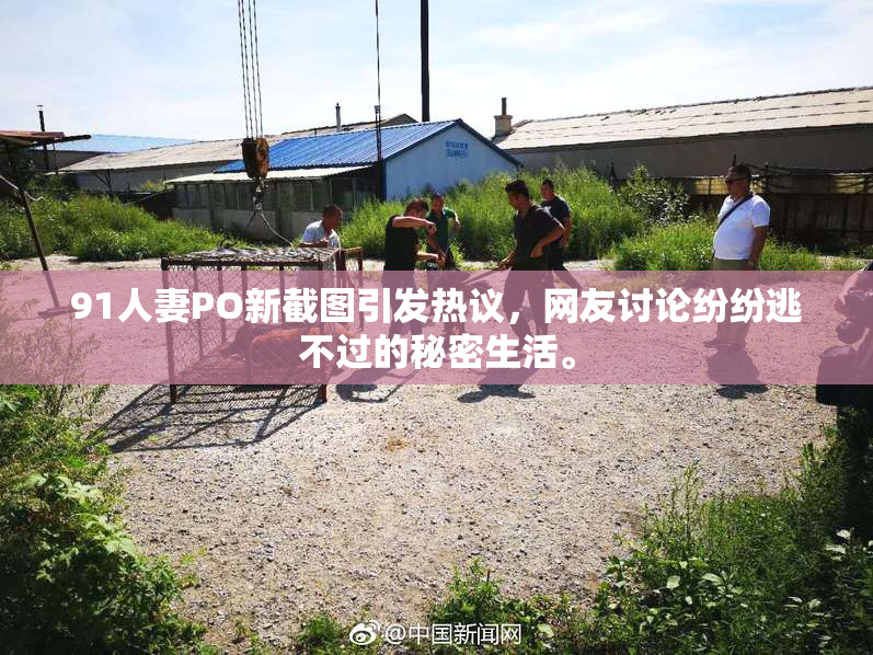 91人妻PO新截图引发热议，网友讨论纷纷逃不过的秘密生活。
