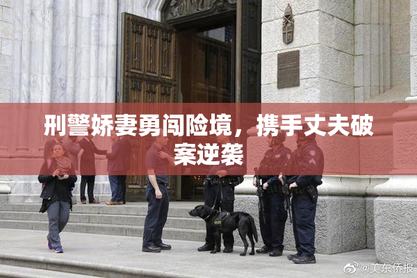 刑警娇妻勇闯险境，携手丈夫破案逆袭