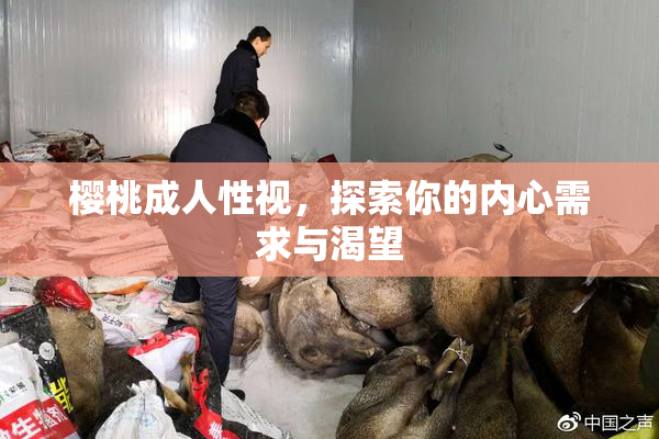 樱桃成人性视，探索你的内心需求与渴望