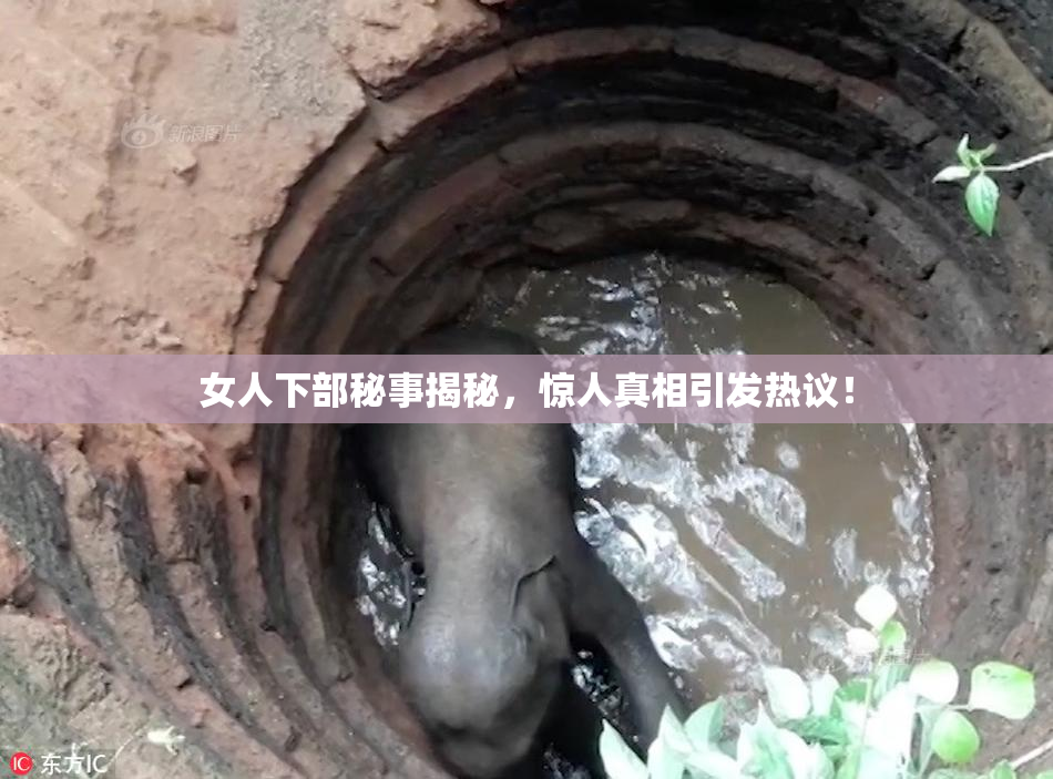 女人下部秘事揭秘，惊人真相引发热议！