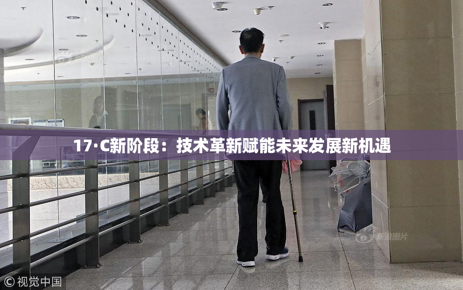 17·C新阶段：技术革新赋能未来发展新机遇