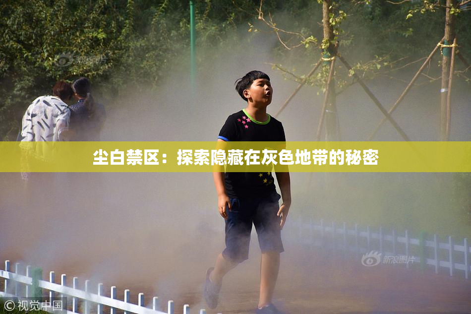 尘白禁区：探索隐藏在灰色地带的秘密