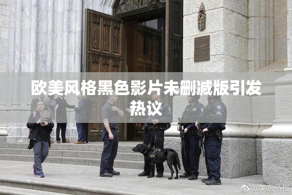 欧美风格黑色影片未删减版引发热议