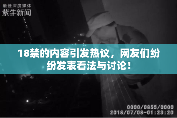 18禁的内容引发热议，网友们纷纷发表看法与讨论！