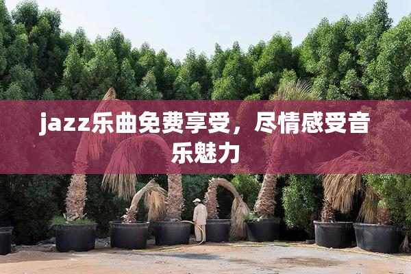 jazz乐曲免费享受，尽情感受音乐魅力