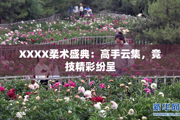 XXXX柔术盛典：高手云集，竞技精彩纷呈