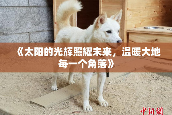 《太阳的光辉照耀未来，温暖大地每一个角落》