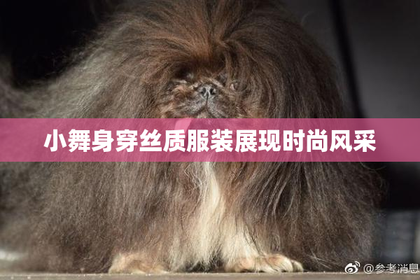 小舞身穿丝质服装展现时尚风采