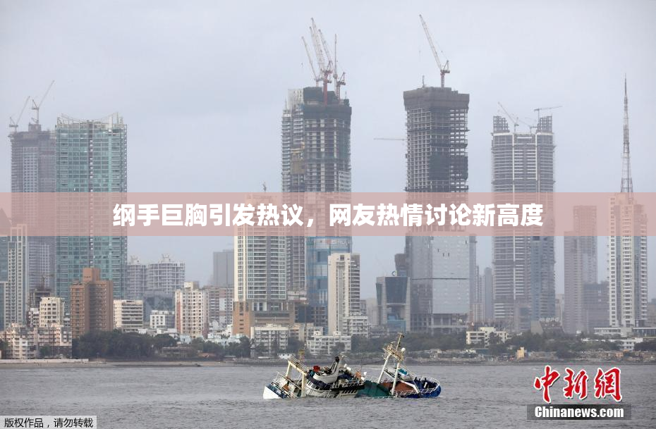 纲手巨胸引发热议，网友热情讨论新高度