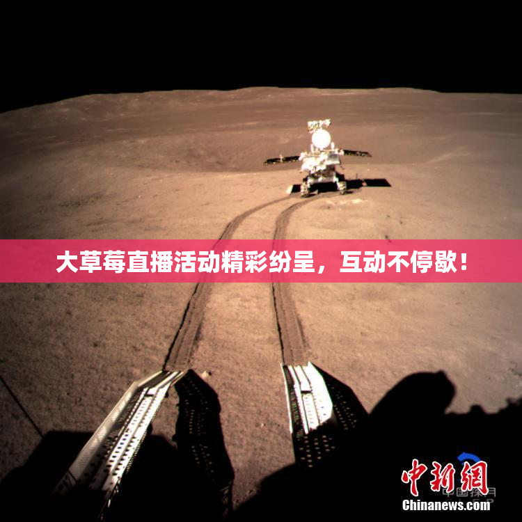 大草莓直播活动精彩纷呈，互动不停歇！