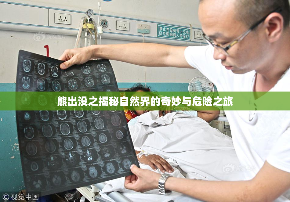 熊出没之揭秘自然界的奇妙与危险之旅
