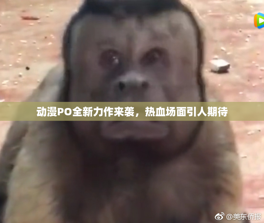 动漫PO全新力作来袭，热血场面引人期待