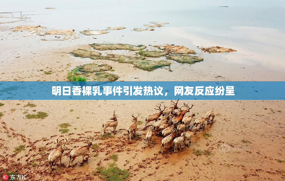 明日香裸乳事件引发热议，网友反应纷呈