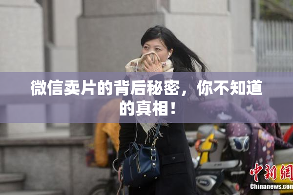 微信卖片的背后秘密，你不知道的真相！