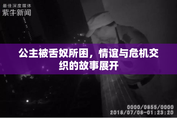 公主被舌奴所困，情谊与危机交织的故事展开