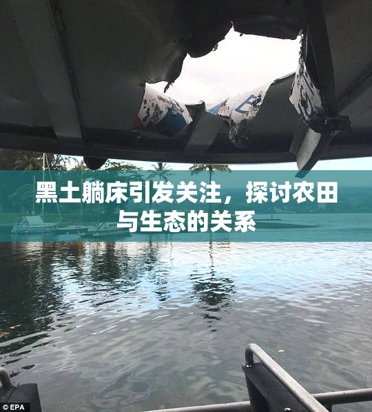 黑土躺床引发关注，探讨农田与生态的关系