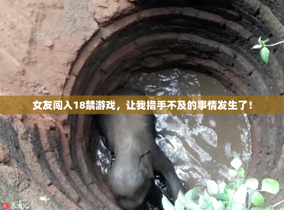 女友闯入18禁游戏，让我措手不及的事情发生了！