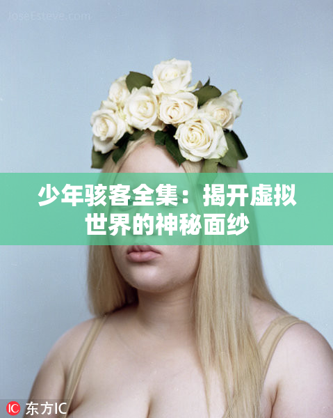 少年骇客全集：揭开虚拟世界的神秘面纱