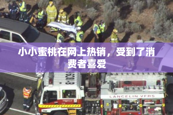 小小蜜桃在网上热销，受到了消费者喜爱