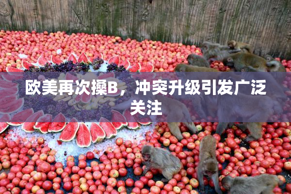 欧美再次搡B，冲突升级引发广泛关注