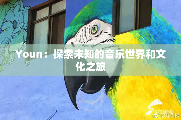 Youn：探索未知的音乐世界和文化之旅
