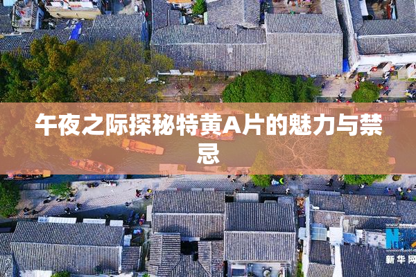 午夜之际探秘特黄A片的魅力与禁忌