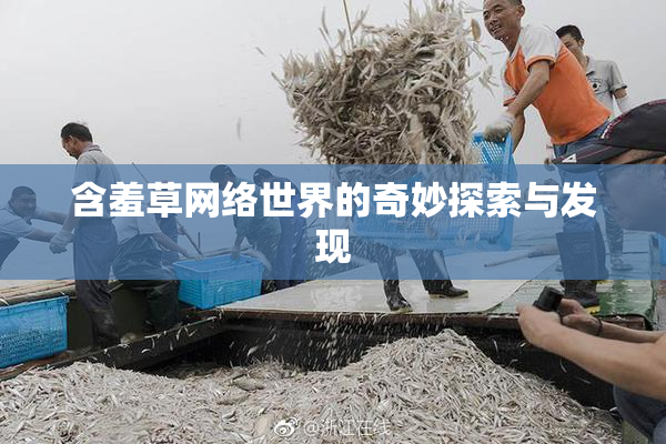 含羞草网络世界的奇妙探索与发现