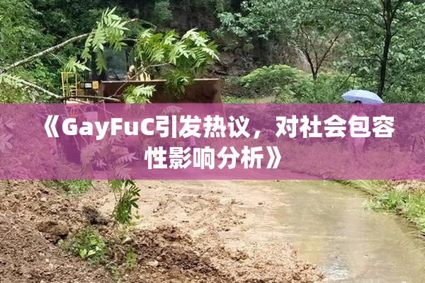 《GayFuC引发热议，对社会包容性影响分析》