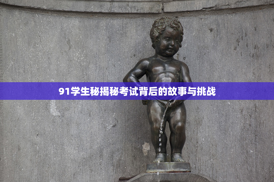 91学生秘揭秘考试背后的故事与挑战