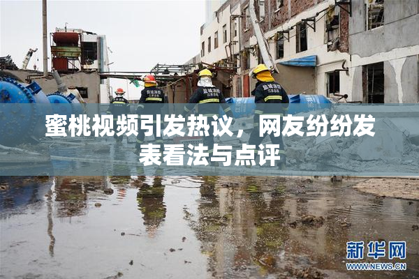 蜜桃视频引发热议，网友纷纷发表看法与点评