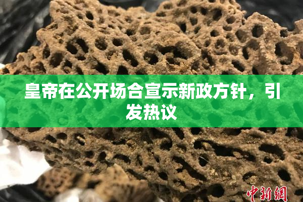 皇帝在公开场合宣示新政方针，引发热议