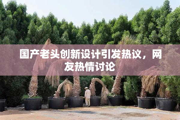 国产老头创新设计引发热议，网友热情讨论