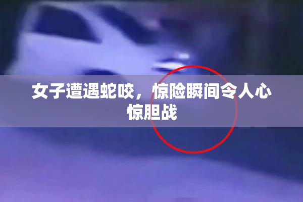 女子遭遇蛇咬，惊险瞬间令人心惊胆战