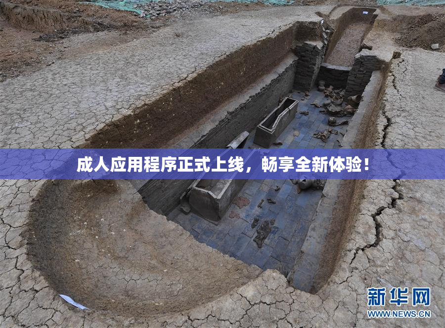 成人应用程序正式上线，畅享全新体验！