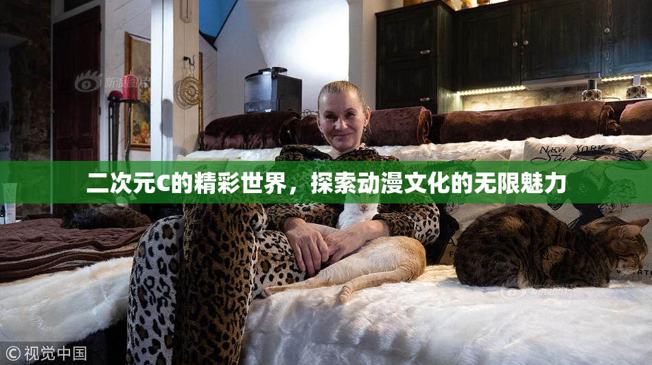 二次元C的精彩世界，探索动漫文化的无限魅力