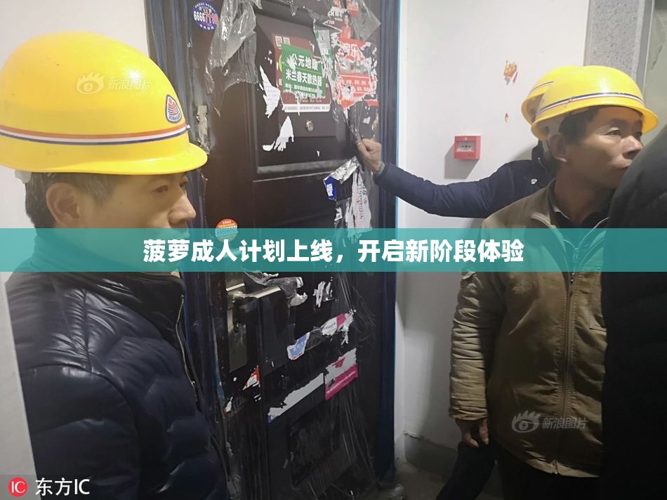 菠萝成人计划上线，开启新阶段体验