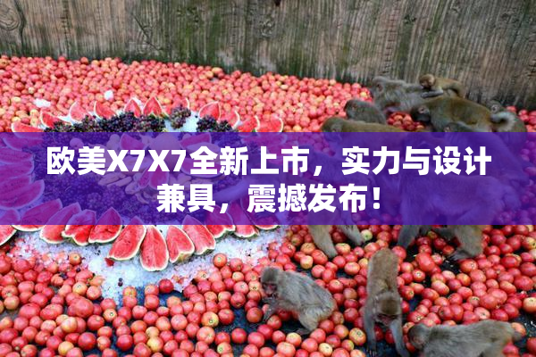 欧美X7X7全新上市，实力与设计兼具，震撼发布！