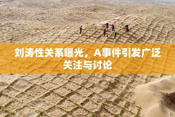 刘涛性关系曝光，A事件引发广泛关注与讨论