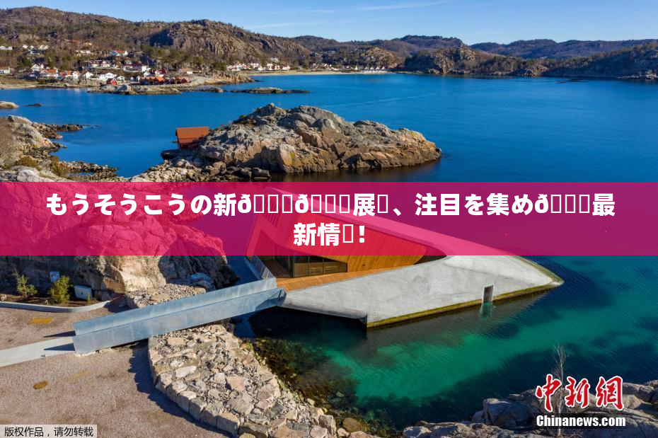 もうそうこうの新👅🍑展開、注目を集め🌃最新情報！