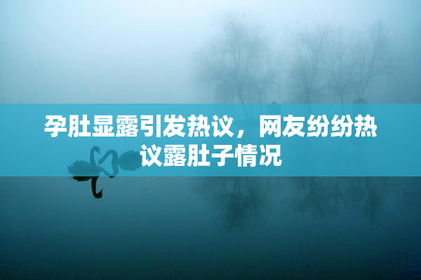 孕肚显露引发热议，网友纷纷热议露肚子情况