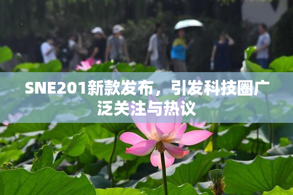 SNE201新款发布，引发科技圈广泛关注与热议