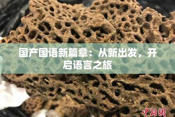 国产国语新篇章：从新出发，开启语言之旅
